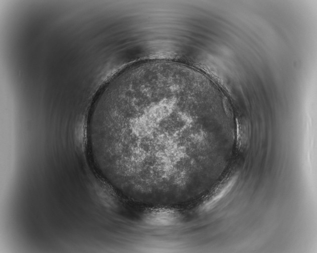 X0000094340348200711021455