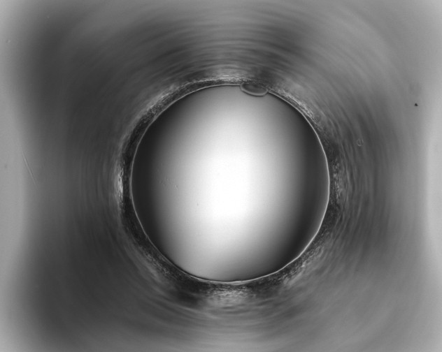 X0000094340350200711021455