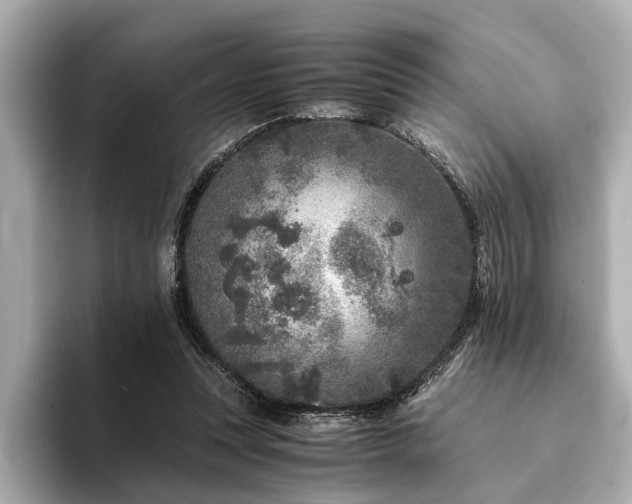 X0000094340351200711021455