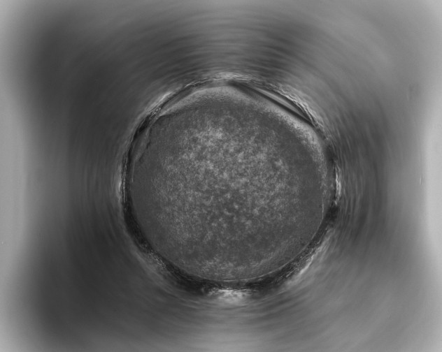 X0000094340352200711021455