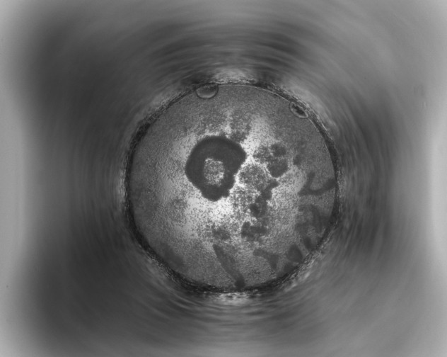 X0000094340353200711021455