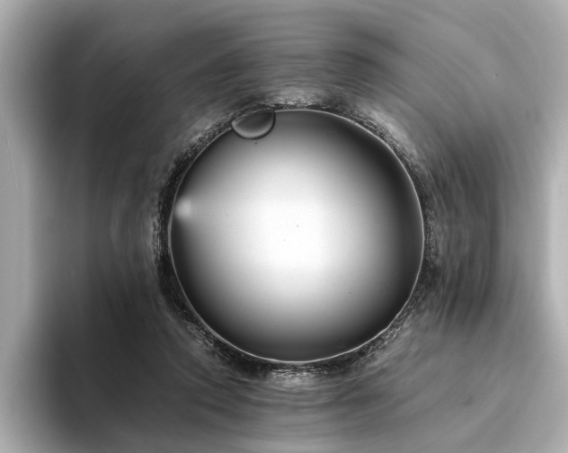 X0000094340354200711021455