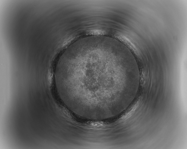 X0000094340355200711021455