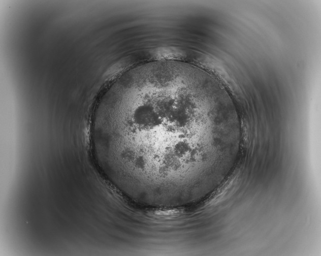 X0000094340357200711021455