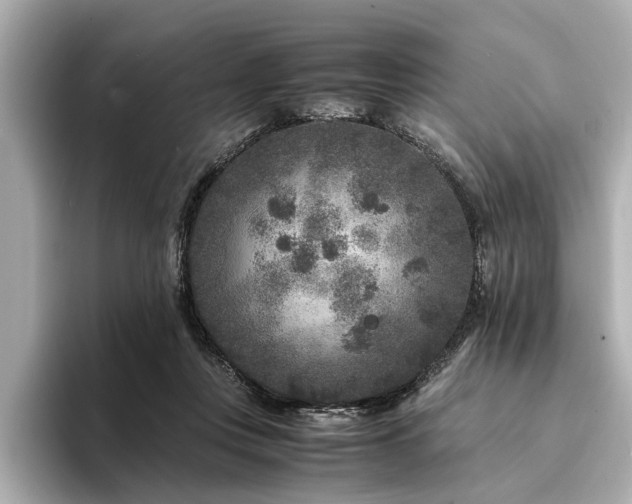 X0000094340359200711021455
