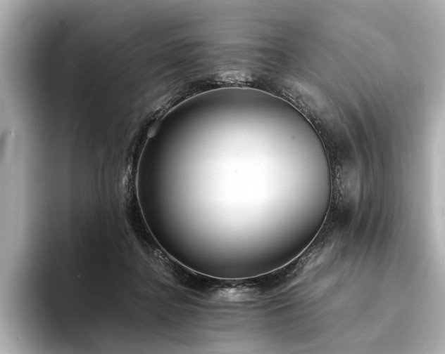 X0000094340364200711021455