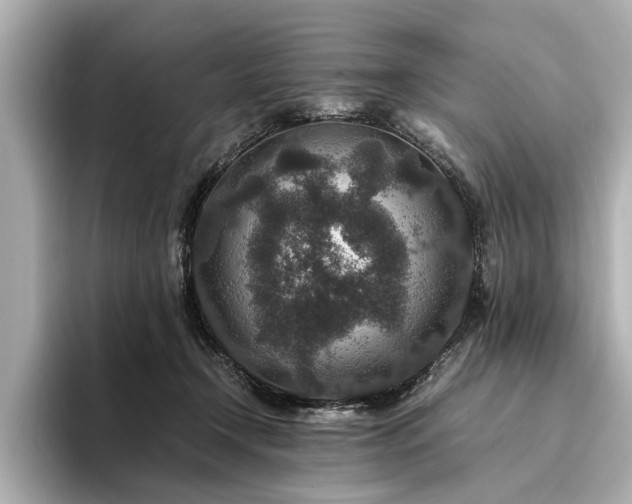 X0000094340366200711021455