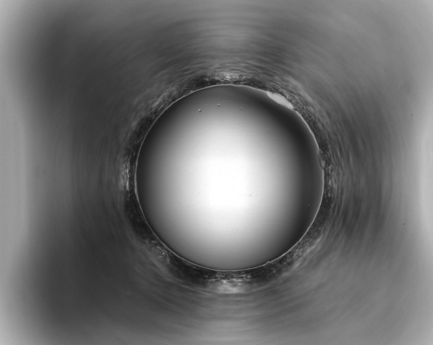 X0000094340368200711021455