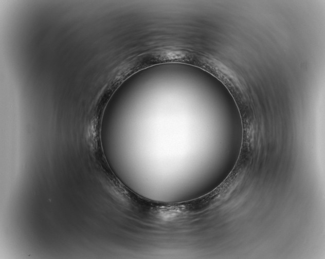 X0000094340373200711021455