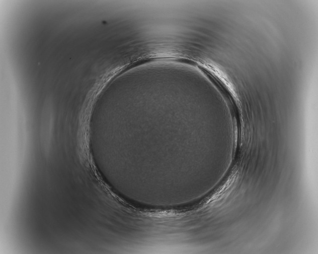 X0000094340385200711021454