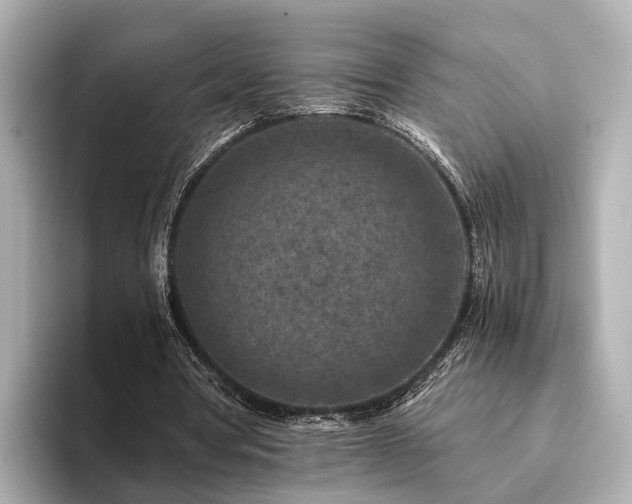 X0000094340386200711021454