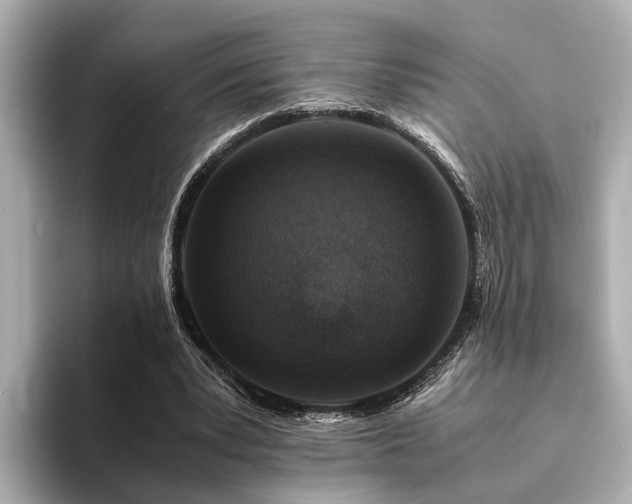 X0000094340391200711021454