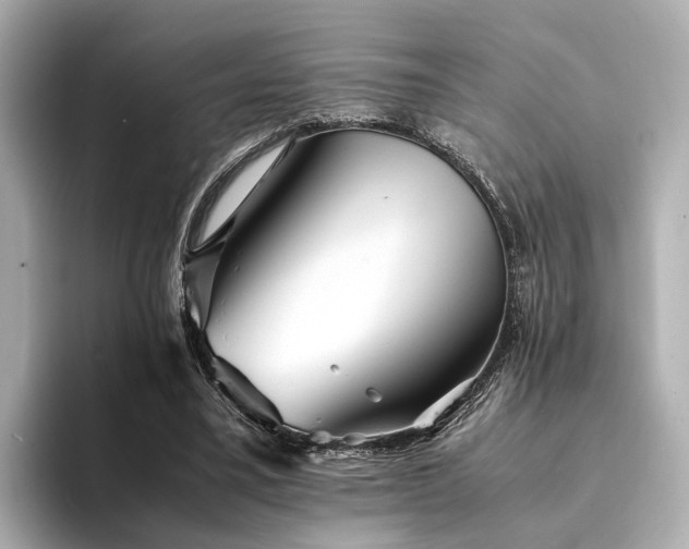 X0000094340395200711021454