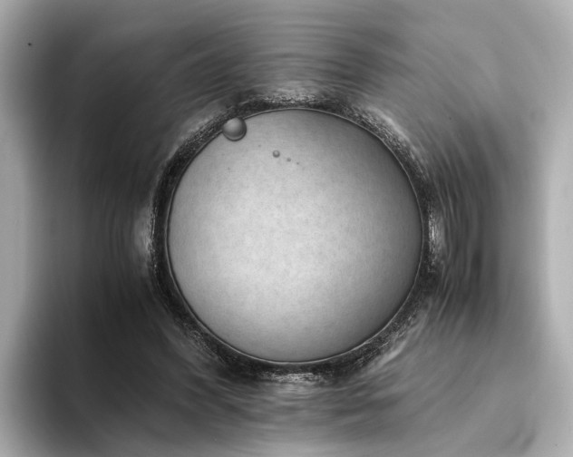 X0000094340396200711021454