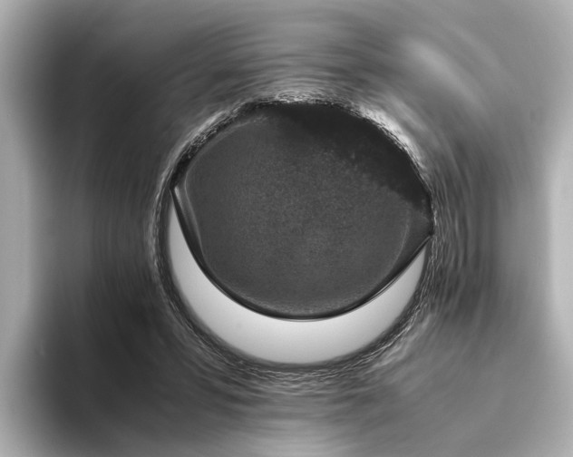 X0000094340399200711021454
