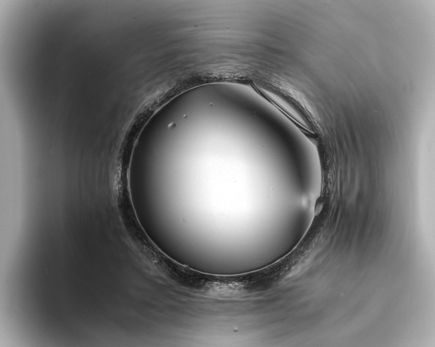 X0000094340403200711021454