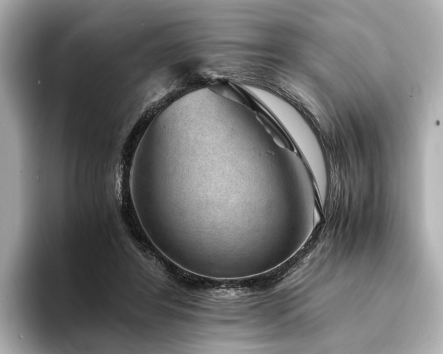 X0000094340404200711021454