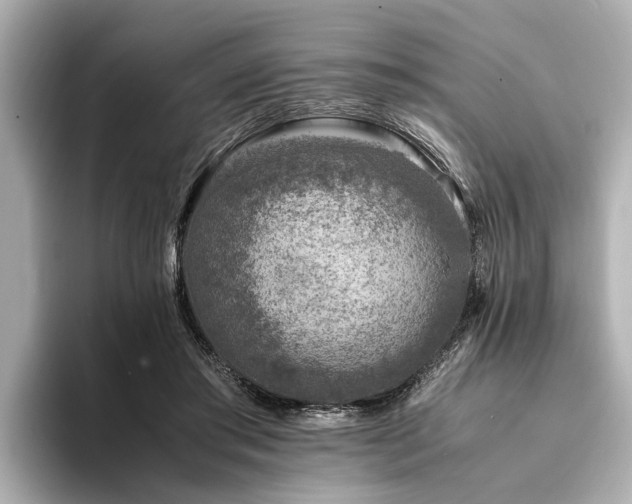 X0000094340405200711021454