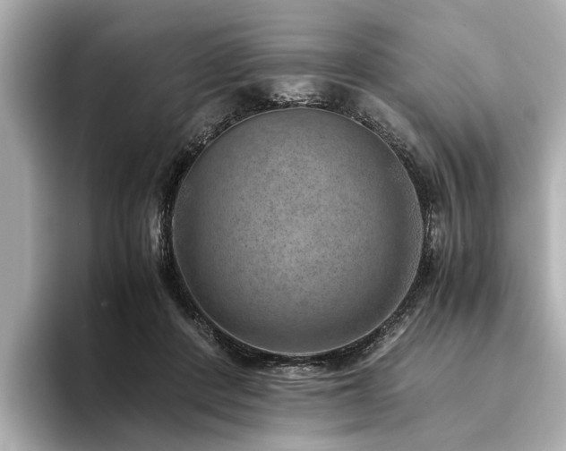 X0000094340408200711021454