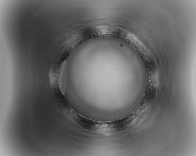 X0000094340419200711021454