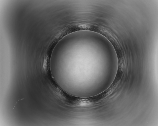 X0000094340424200711021454