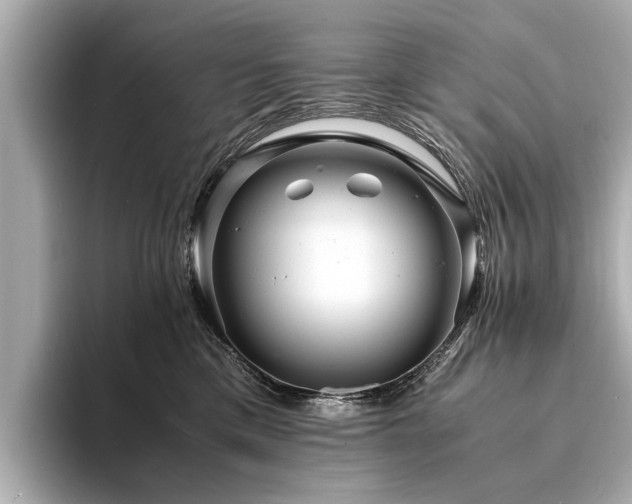X0000094340425200711021454