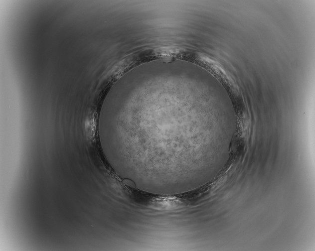 X0000094340427200711021454