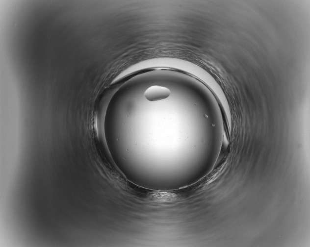 X0000094340429200711021454