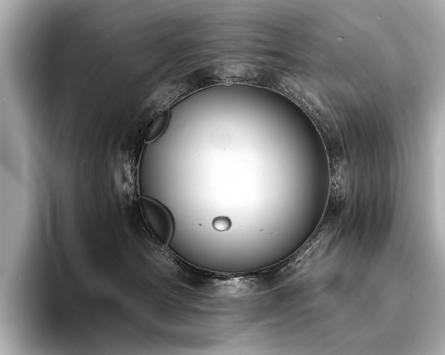 X0000094340430200711021454