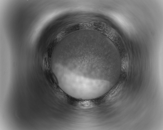 X0000094340431200711021454