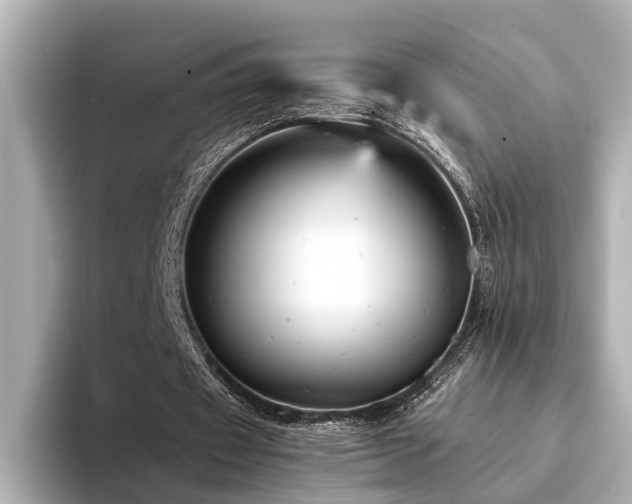 X0000094340433200711021453