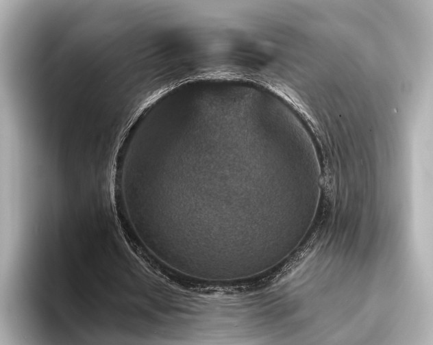 X0000094340434200711021453