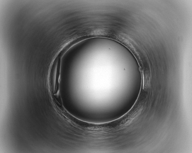 X0000094340435200711021453