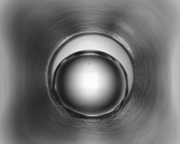 X0000094340436200711021453