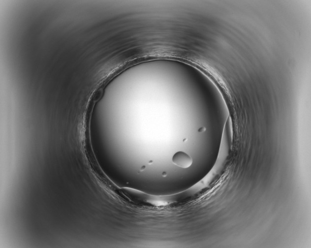 X0000094340437200711021453