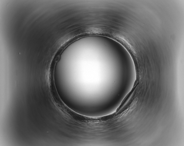 X0000094340439200711021453
