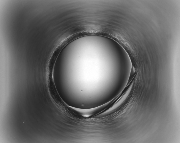 X0000094340440200711021453