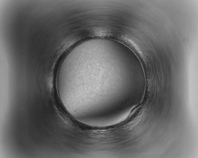 X0000094340443200711021453