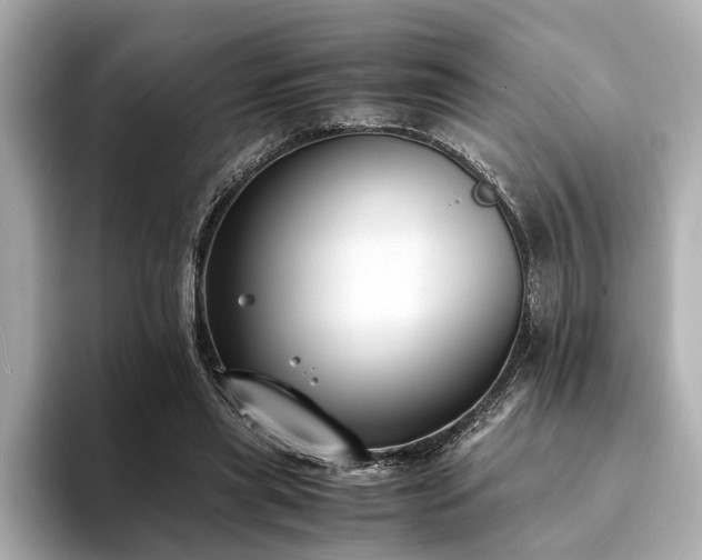 X0000094340445200711021453