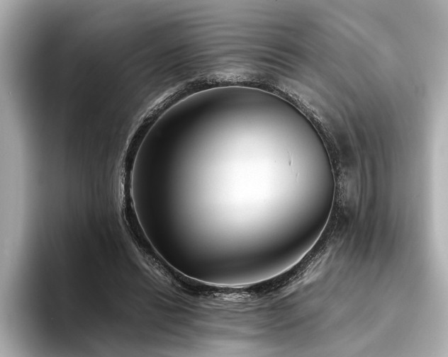 X0000094340446200711021454