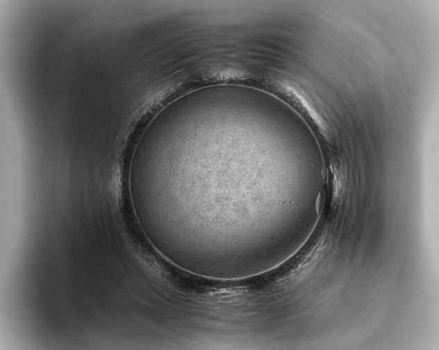 X0000094340447200711021454
