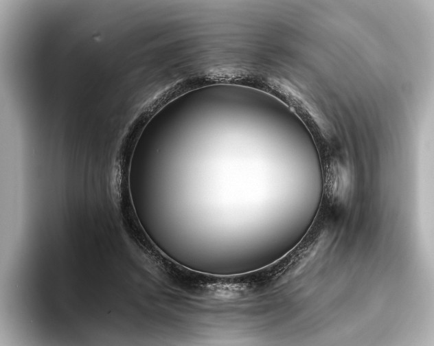 X0000094340448200711021454