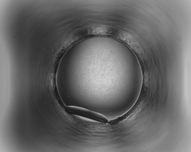 X0000094340449200711021454
