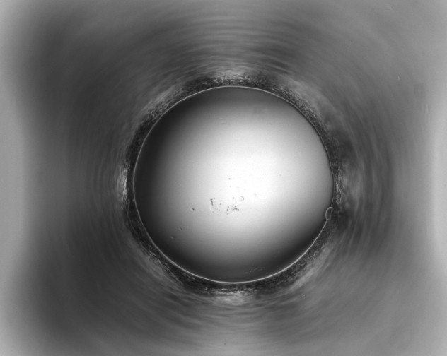 X0000094340454200711021454
