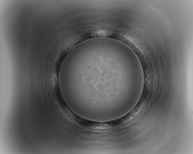 X0000094340459200711021454