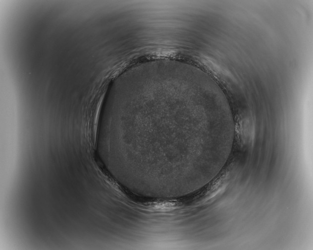 X0000094340462200711021454