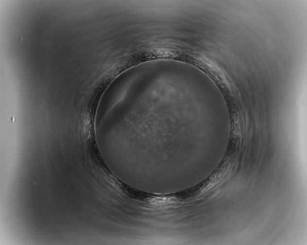 X0000094340465200711021454