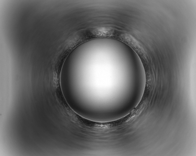 X0000094340469200711021454