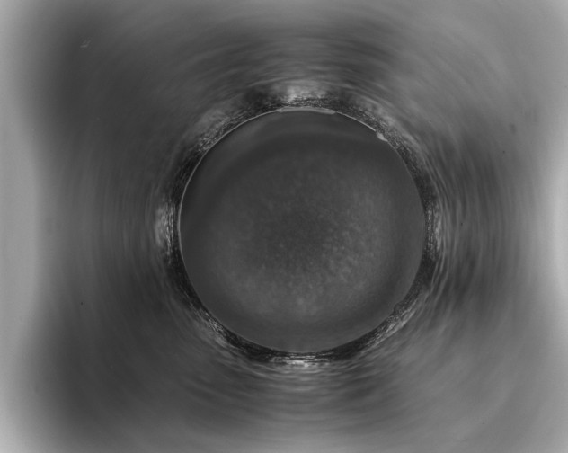 X0000094340475200711021454
