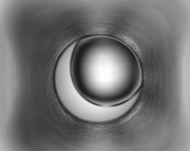 X0000094340481200711021453